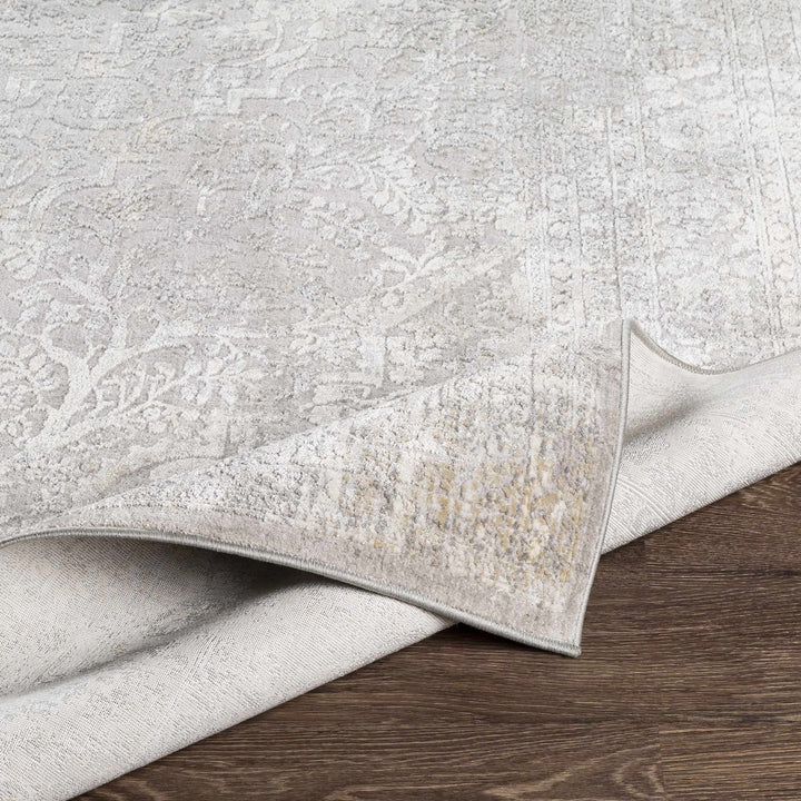Blean Gray Traditional Style Area Rug