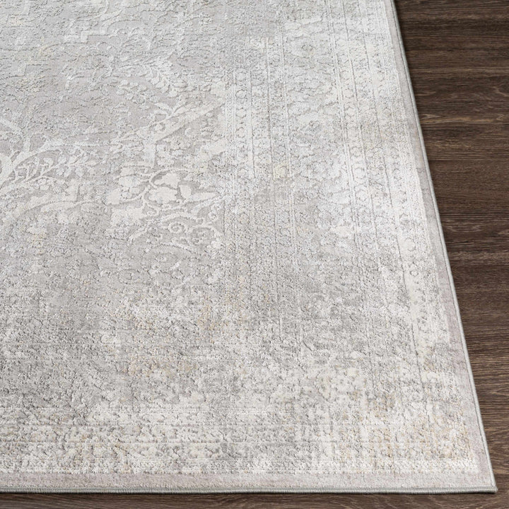 Blean Gray Traditional Style Area Rug