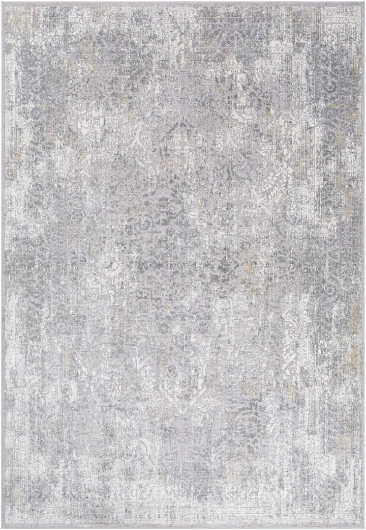 Blean Gray Traditional Style Area Rug - The Rug Decor