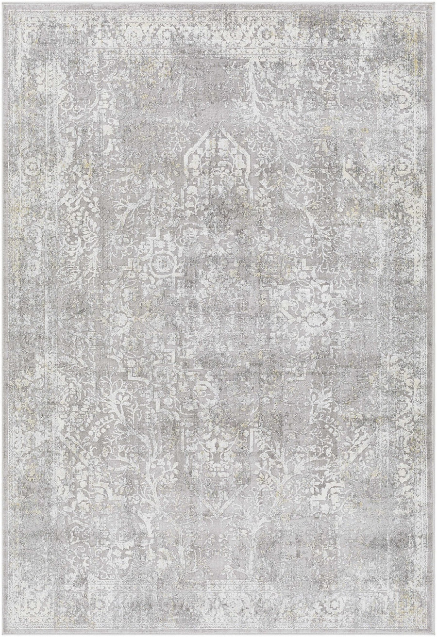 Blean Gray Traditional Style Area Rug - The Rug Decor