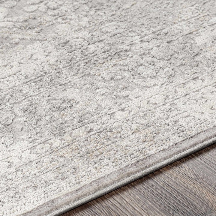 Blean Gray Traditional Style Area Rug - The Rug Decor