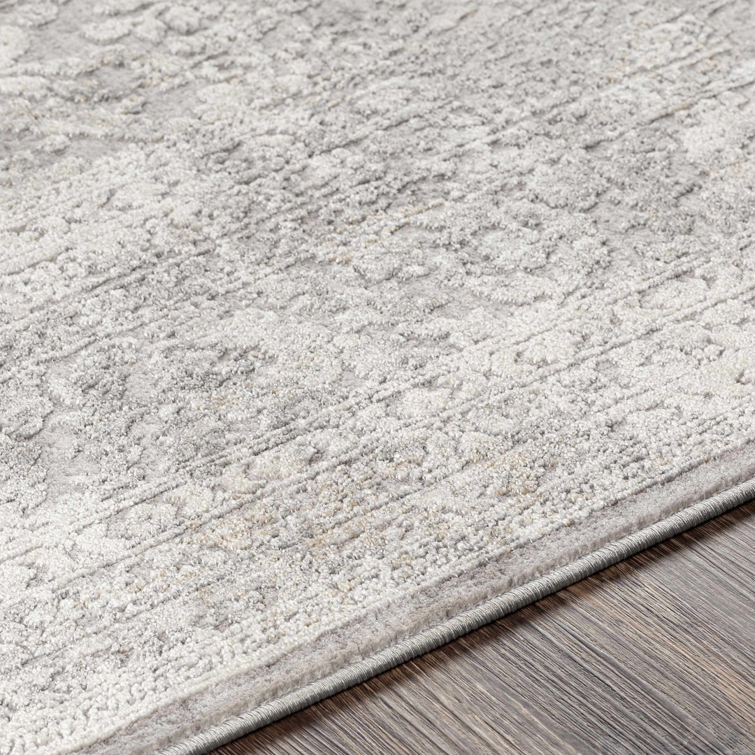 Blean Gray Traditional Style Area Rug