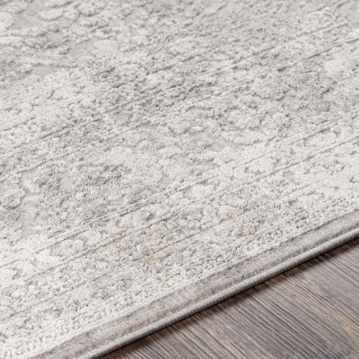 Blean Gray Traditional Style Area Rug