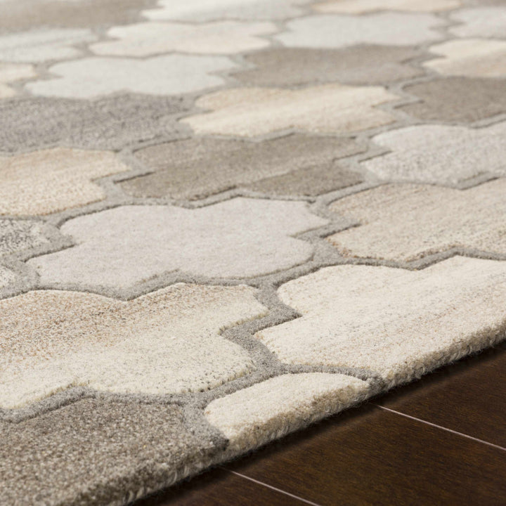 Bluffdale Modern Style Gray And Beige Hand Tufted Wool Area Rug