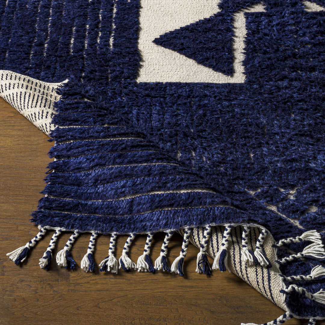 Billinge Modern Style Blue And Ivory Hand Knotted Area Rug