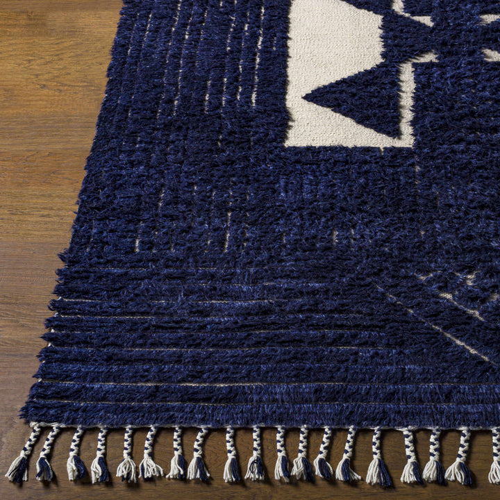 Billinge Modern Style Blue And Ivory Hand Knotted Area Rug