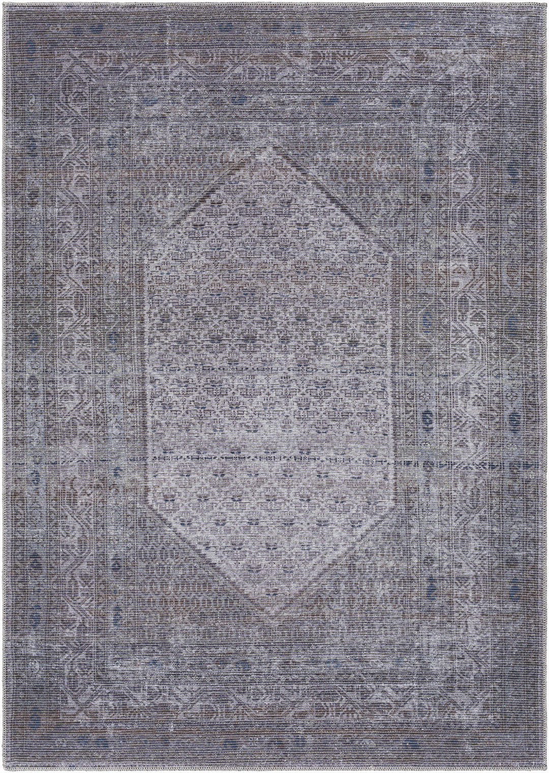Ballinasloe Traditional Gray Washable Rug