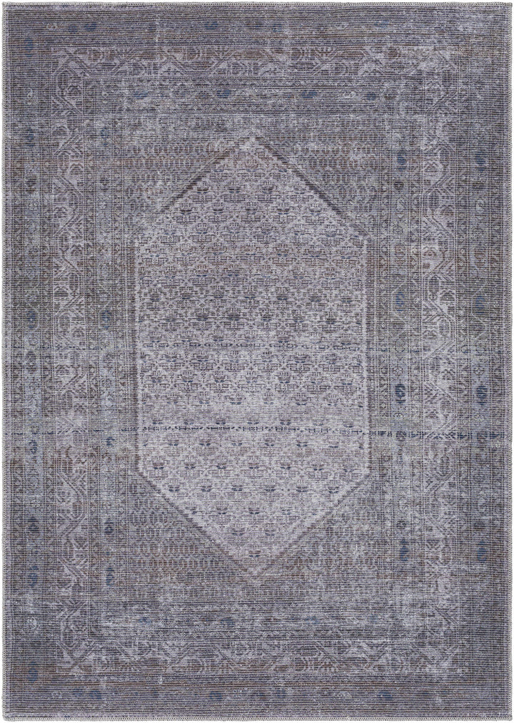Ballinasloe Traditional Gray Washable Rug