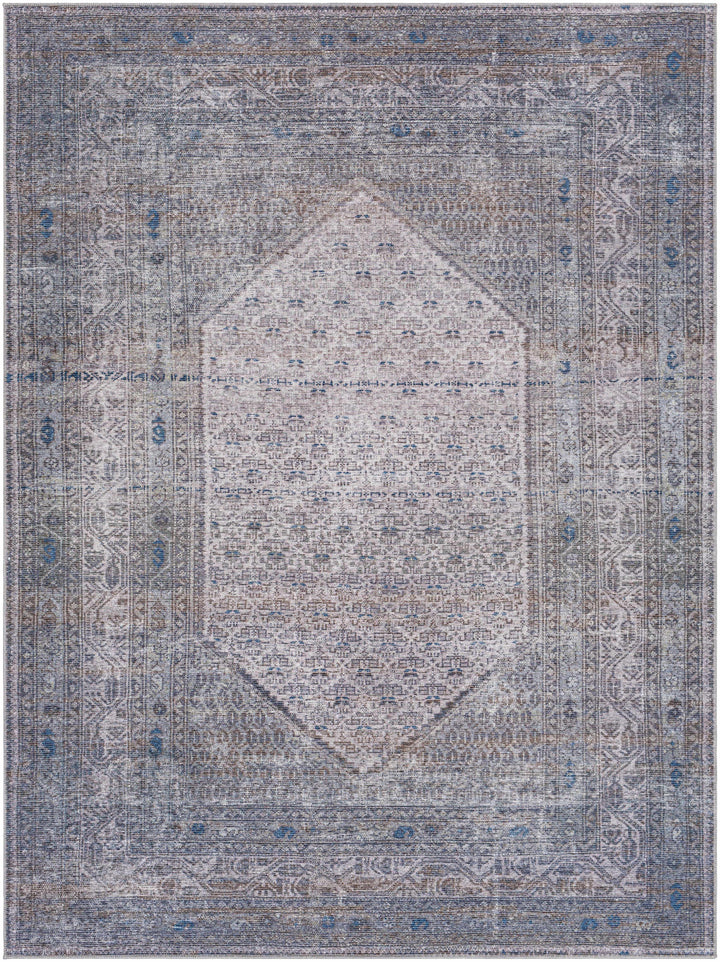 Ballinasloe Traditional Gray Washable Rug