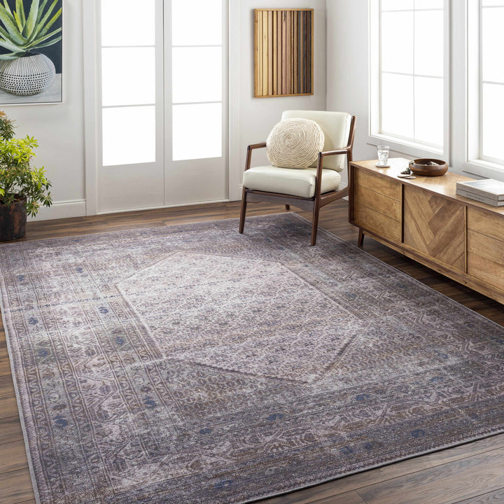 Ballinasloe Traditional Gray Washable Rug