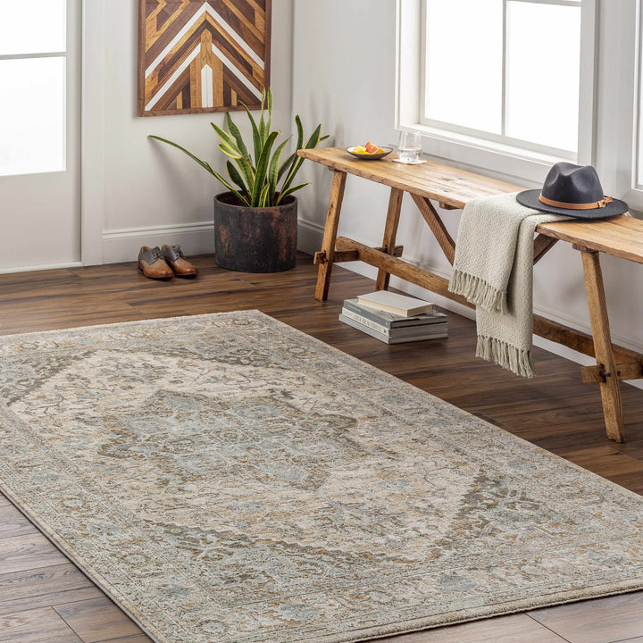Ballisodare Traditional Medallion Design Brown And Beige Rug