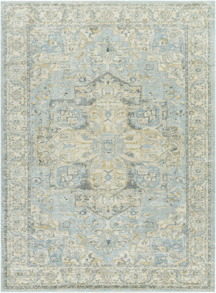 Blue And Beige Traditional Style Machine Woven Area Rug - The Rug Decor