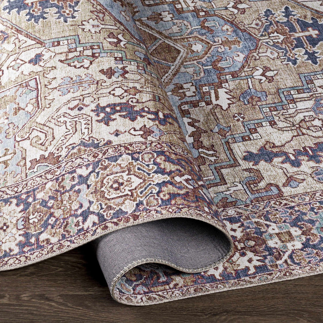 Blue And Red Traditional Style Area Rug - The Rug Decor