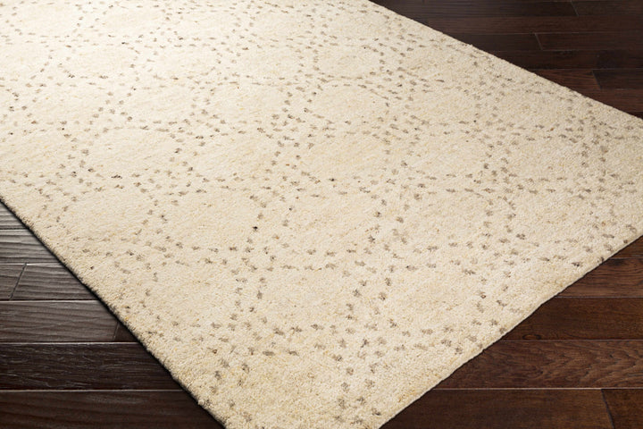 Banksia Beige Modern Style Hand Knotted Wool Area Rug