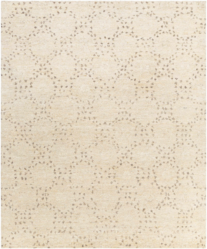 Banksia Beige Modern Style Hand Knotted Wool Area Rug