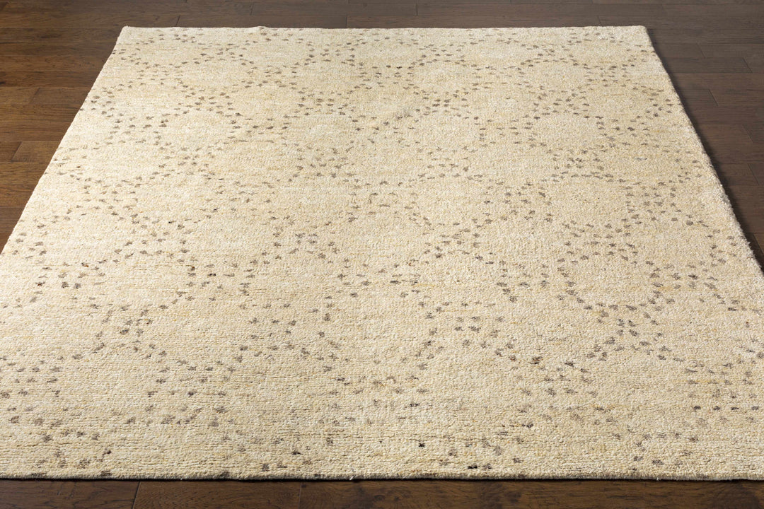 Banksia Beige Modern Style Hand Knotted Wool Area Rug