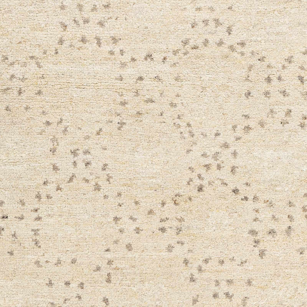 Banksia Beige Modern Style Hand Knotted Wool Area Rug