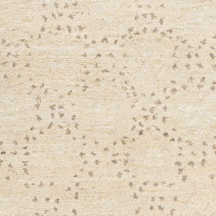 Banksia Beige Modern Style Hand Knotted Wool Area Rug