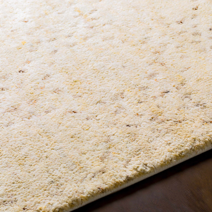 Banksia Beige Modern Style Hand Knotted Wool Area Rug