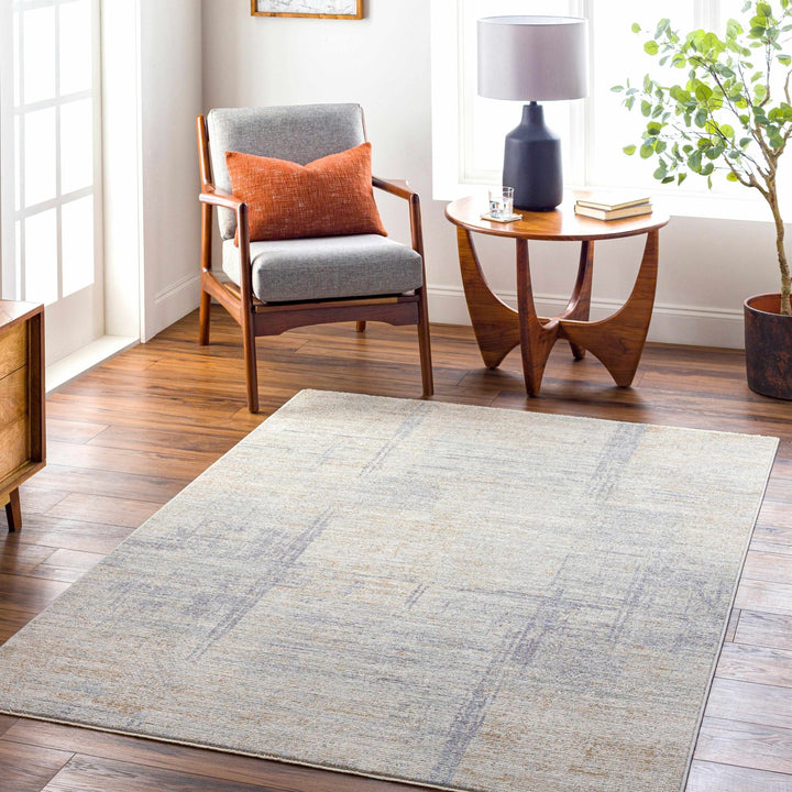 Bobby Thick Luxe Modern Abstract Beige & Gray Rug - The Rug Decor