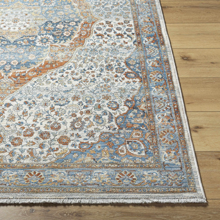 Bojan Traditional Medallion Rust And Blue Rug - The Rug Decor