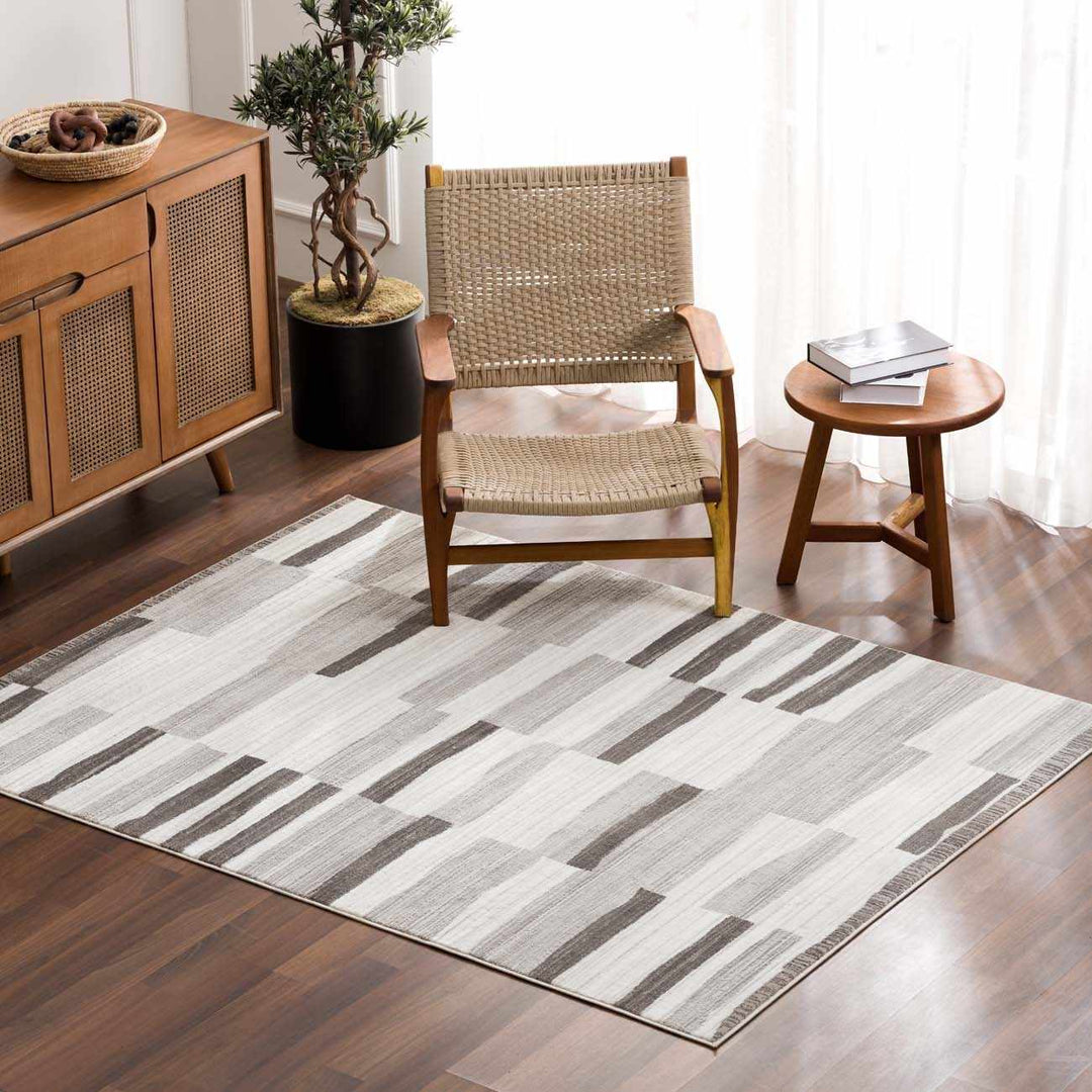 Bojana Modern Stripe Pattern Black Rug - The Rug Decor