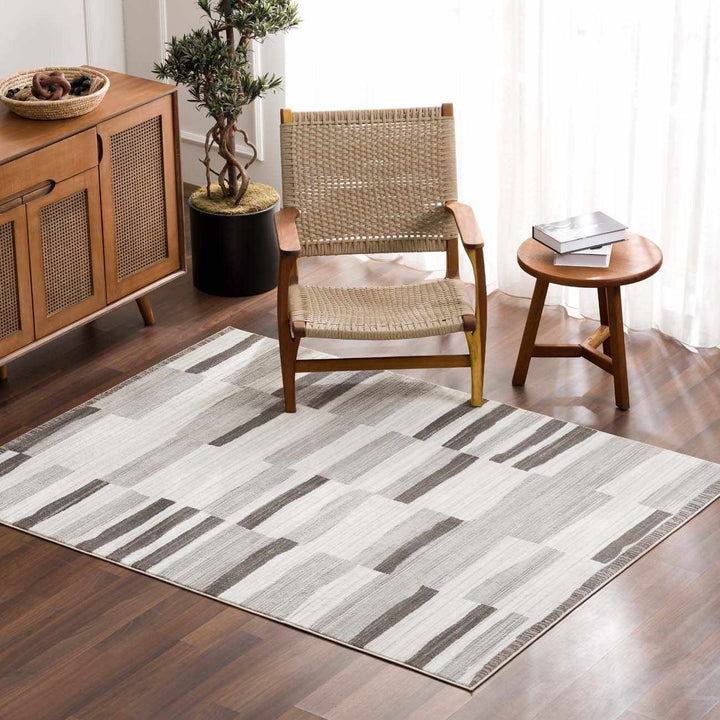 Bojana Modern Stripe Pattern Black Rug - The Rug Decor