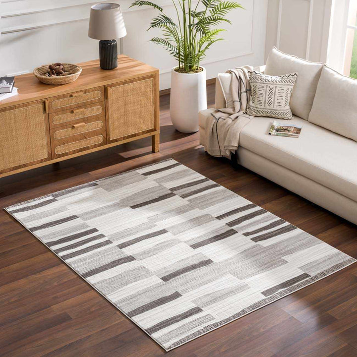 Bojana Modern Stripe Pattern Black Rug - The Rug Decor
