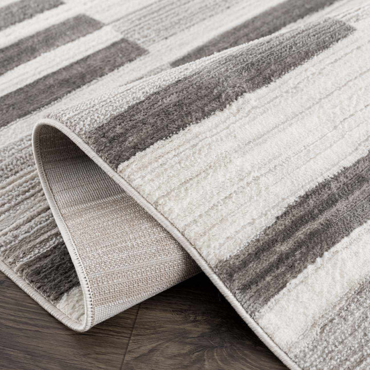 Bojana Modern Stripe Pattern Black Rug - The Rug Decor