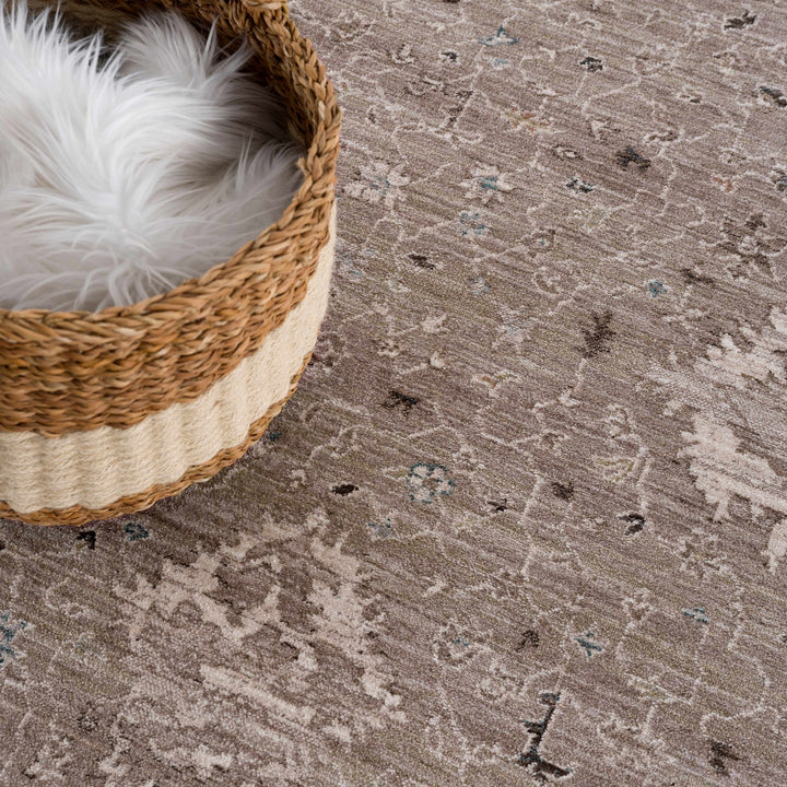 Bolitoc Traditional Design Charcoal & Ivory Rug - The Rug Decor