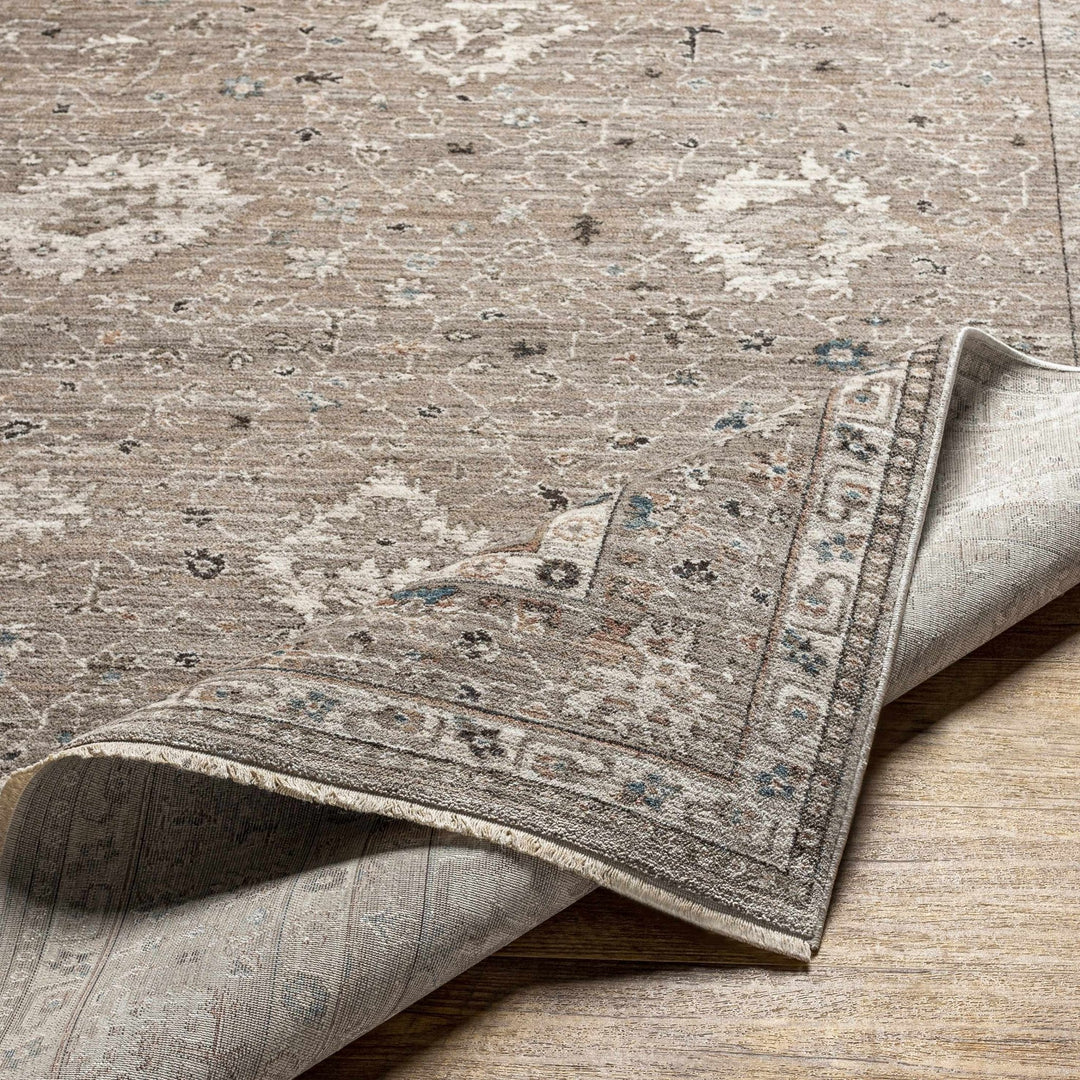 Bolitoc Traditional Design Charcoal & Ivory Rug - The Rug Decor