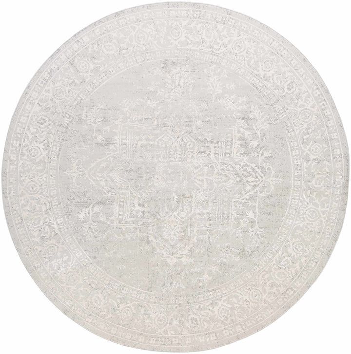 Bolsover Traditional Style Beige And Ivory Area Rug