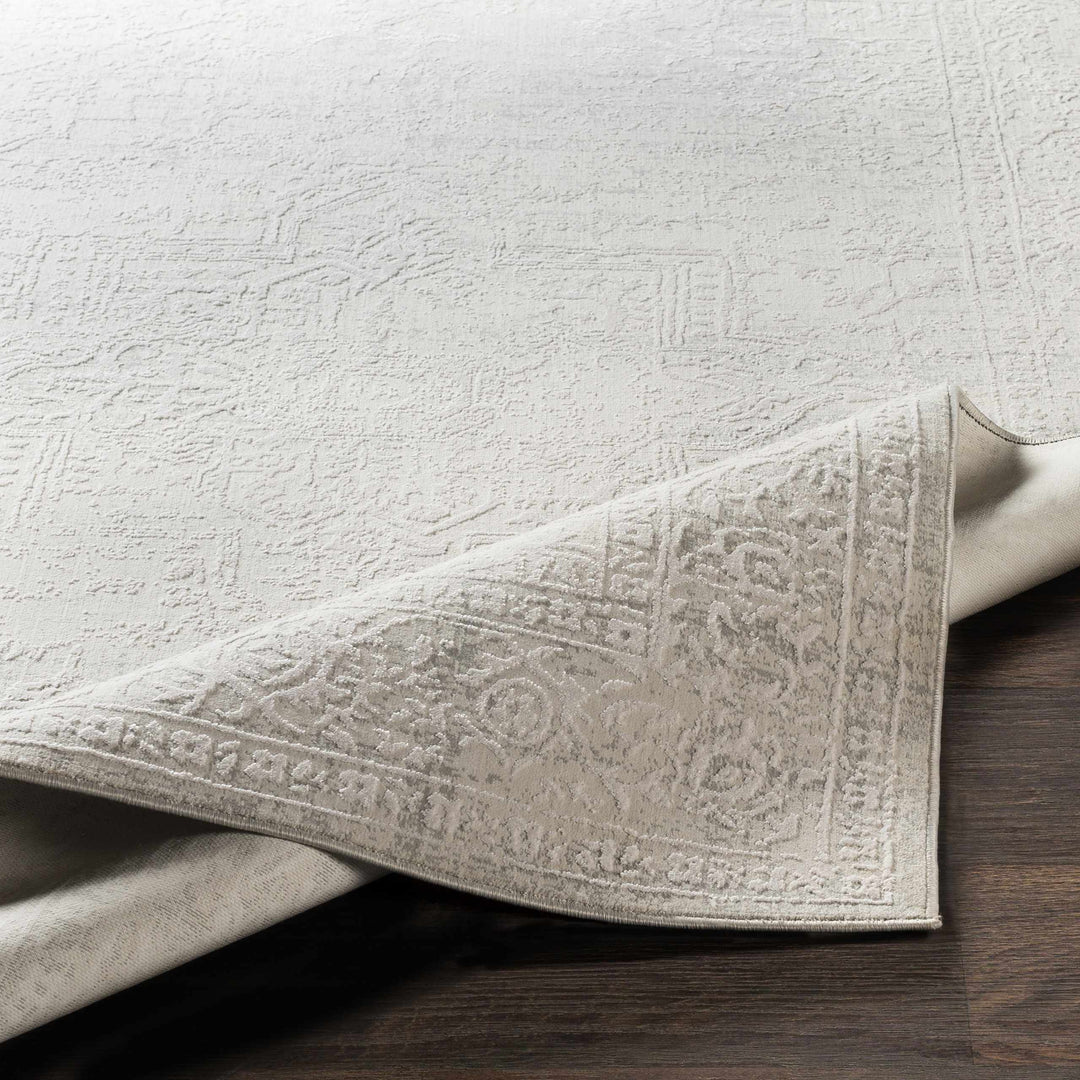 Bolsover Traditional Style Beige And Ivory Area Rug