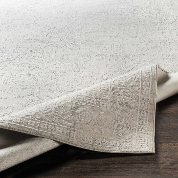 Bolsover Traditional Style Beige And Ivory Area Rug