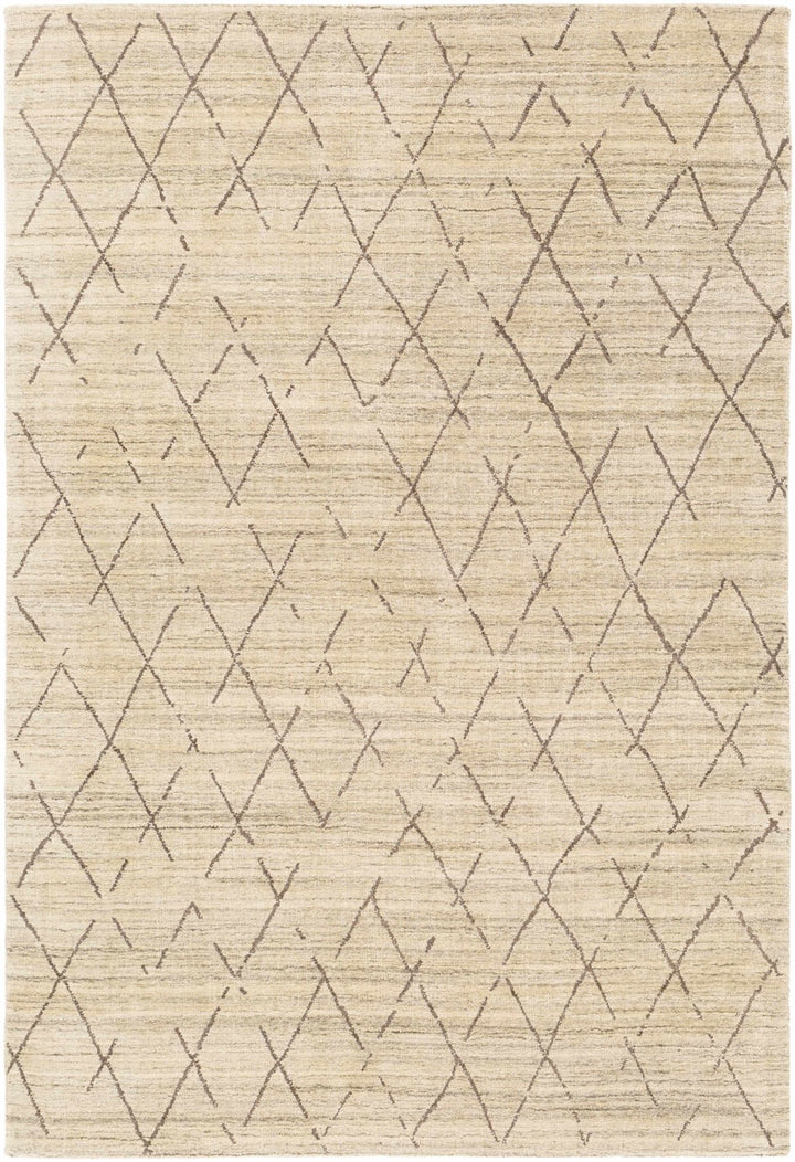Bonogin Modern Geometrical Design Beige Area Rug - The Rug Decor