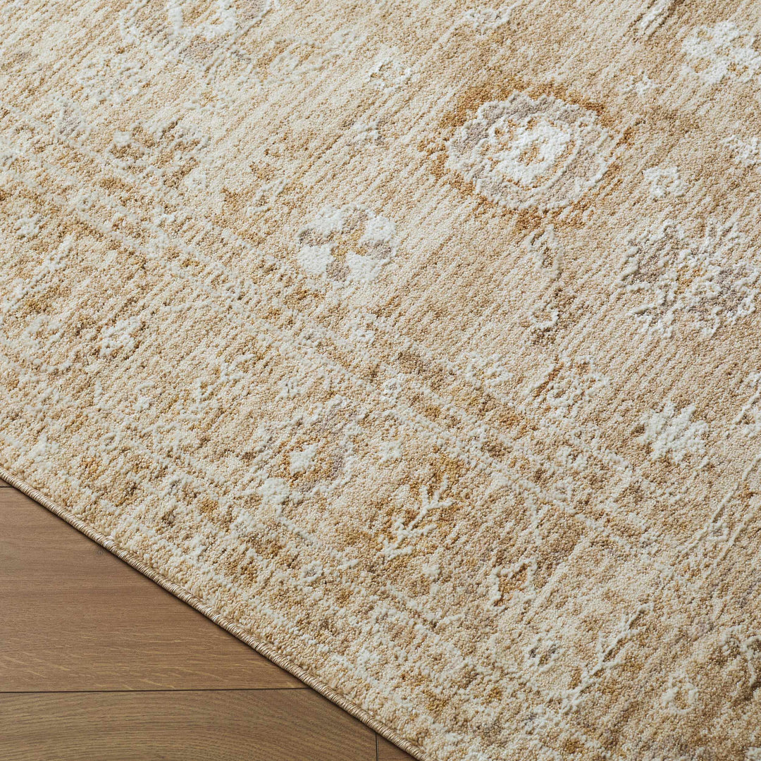 Penny Traditional Style Tan Area Rug