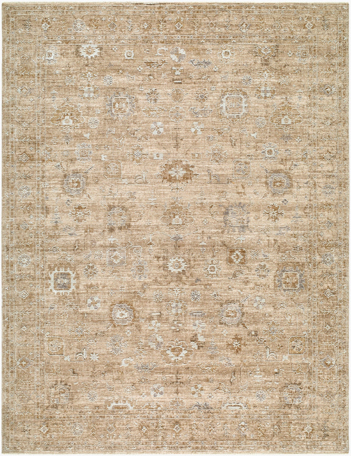 Penny Traditional Style Tan Area Rug