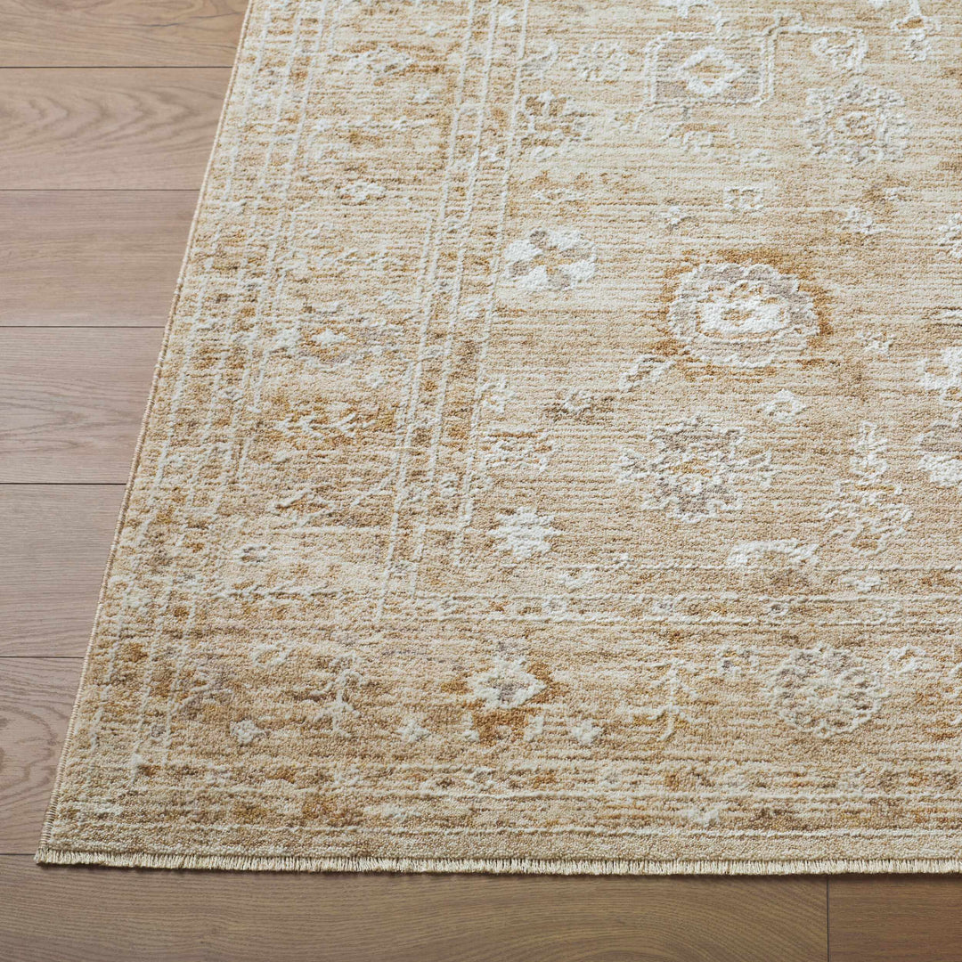 Penny Traditional Style Tan Area Rug
