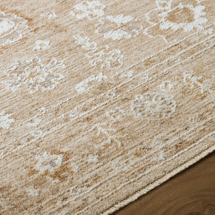Penny Traditional Style Tan Area Rug