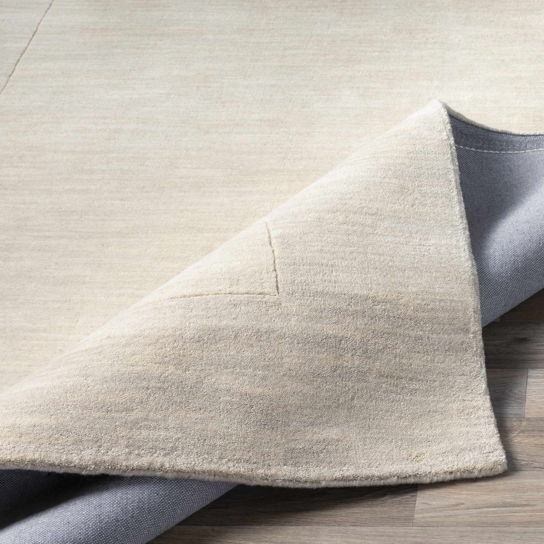 Bordered Beige Modern Style Hand Loom Wool Area Rug - The Rug Decor