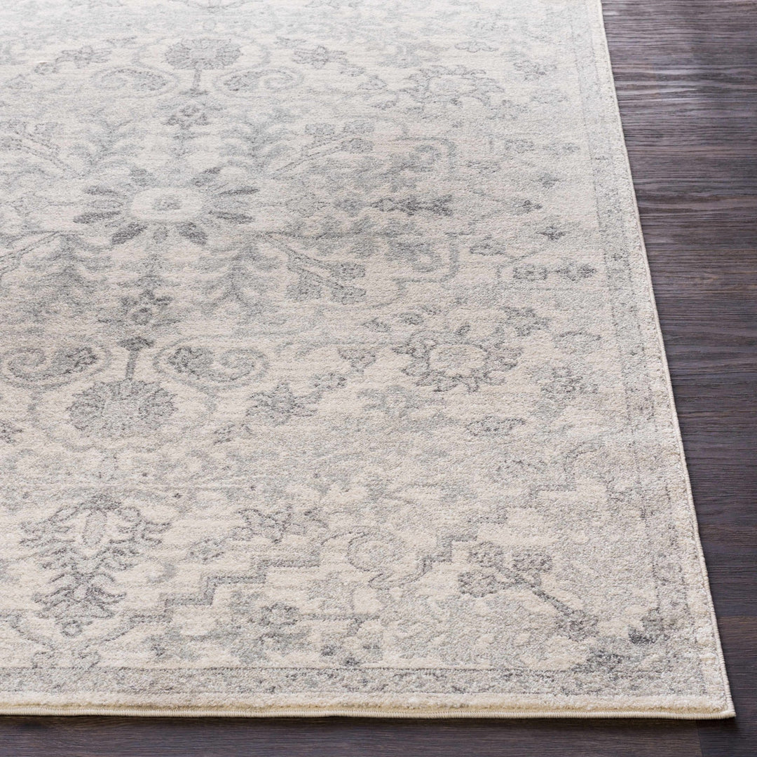 Borowski Traditional Style Beige And Gray Area Rug - The Rug Decor