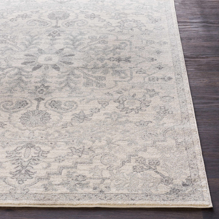 Borowski Traditional Style Beige And Gray Area Rug - The Rug Decor