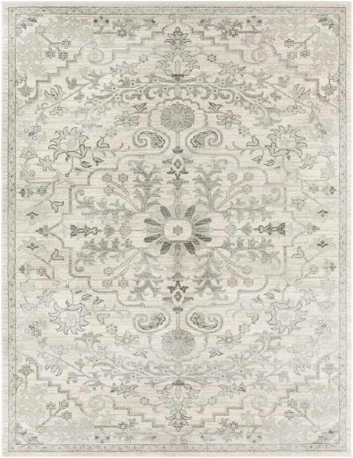 Borowski Traditional Style Beige And Gray Area Rug - The Rug Decor