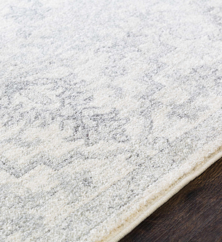 Borowski Traditional Style Beige And Gray Area Rug - The Rug Decor