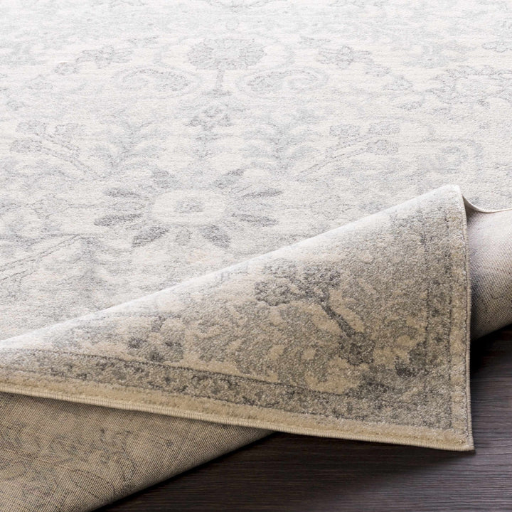 Borowski Traditional Style Beige And Gray Area Rug - The Rug Decor
