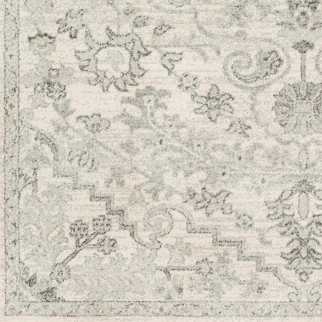 Borowski Traditional Style Beige And Gray Area Rug - The Rug Decor