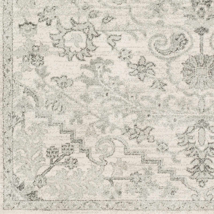 Borowski Traditional Style Beige And Gray Area Rug - The Rug Decor