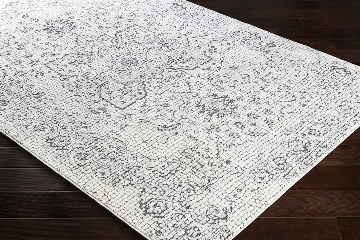 Bosphorus Ivory And Black Traditional Style Area Rug