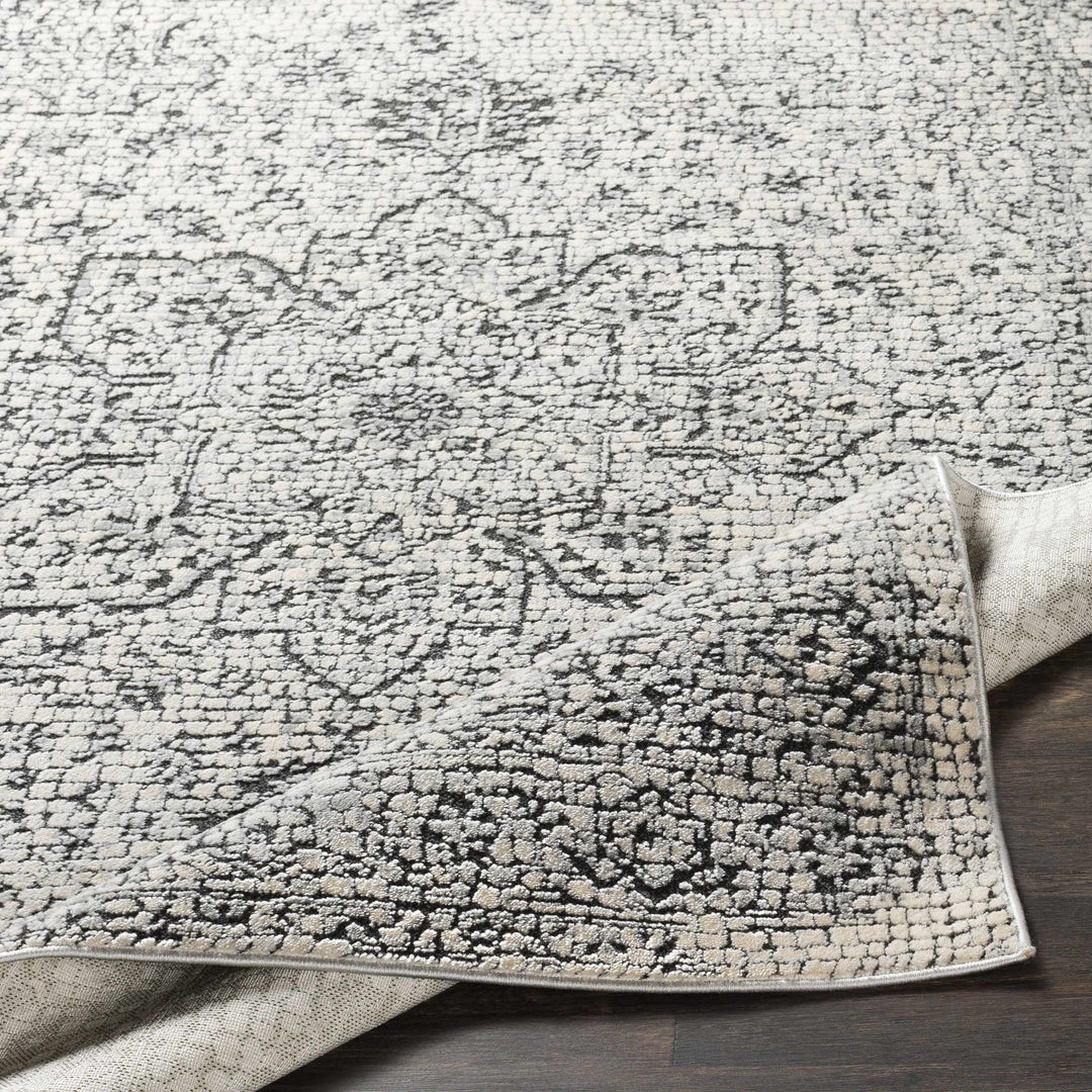 Bosphorus Ivory And Black Traditional Style Area Rug