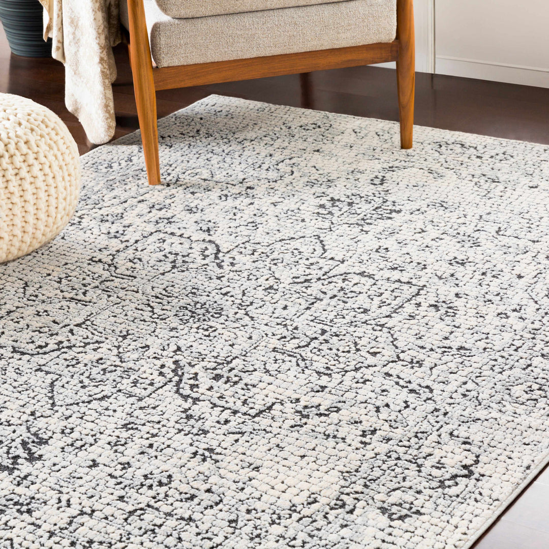 Bosphorus Ivory And Black Traditional Style Area Rug